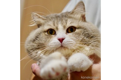 ちくわくん1枚目